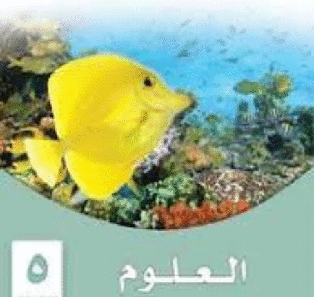 English 1 (13)