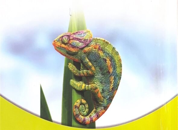 0efb813f-db92-4509-9eb7-8f1c18179da6